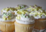 Photo of cupcakes